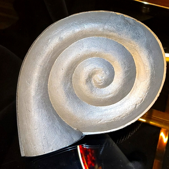 Silver Shell - Picture 3 of 3